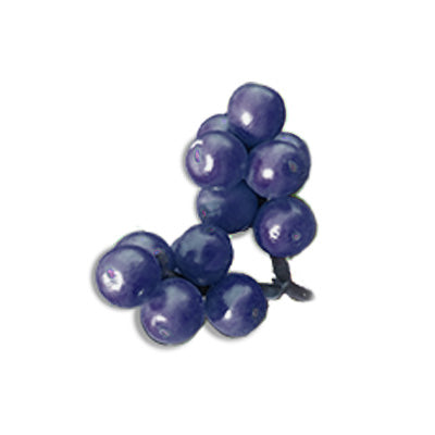 Organic Elderberry