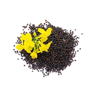 PhytoFactor