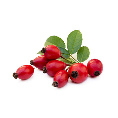 Rosehips Flowers