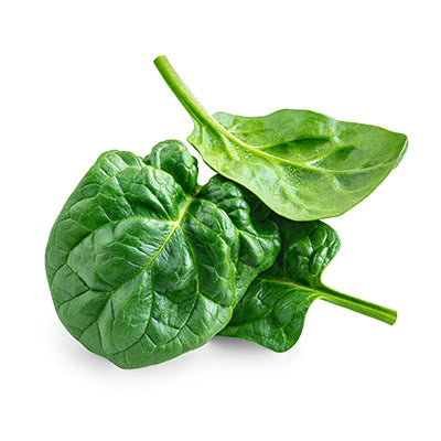 Spinach Leaves