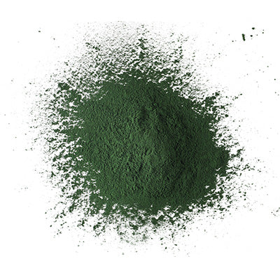 Spirulina Algae