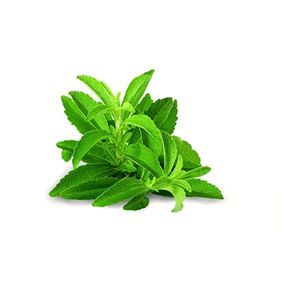 Stevia Extract