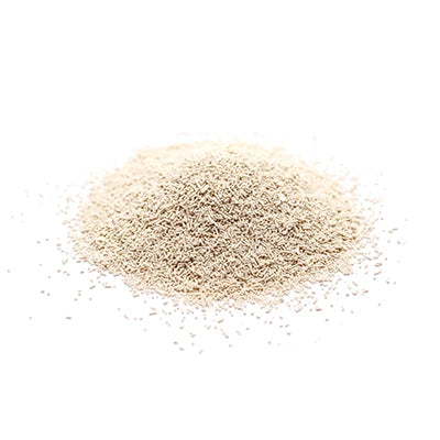 Baker’s yeast